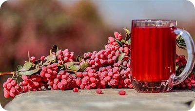 محصولات بدون شکر