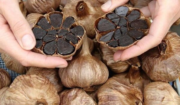 خرید سیر سیاه